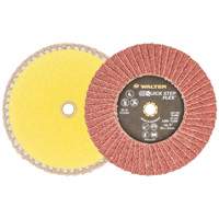 QUICK-STEP FLEX, 5" x Type 29, Grain 40, Oxyde d'aluminium Advanced Consulting and Training Ltd.
