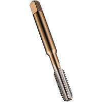 General Purpose Hand Tap, High Speed Steel, M10x1.25 Thread Advanced Consulting and Training Ltd.