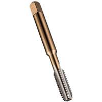 Plug Tap, High Speed Steel, 1/4"-20 Thread Advanced Consulting and Training Ltd.