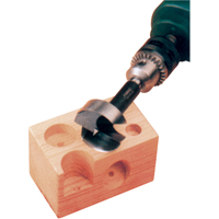 M&egrave;che Forstner, 28 mm, Tige 8 mm, Longeur de 3-1/2" Advanced Consulting and Training Ltd.