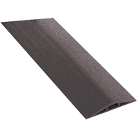 Couvre-c&acirc;bles FloorTrak, 5' x 3" x 0,75" Advanced Consulting and Training Ltd.