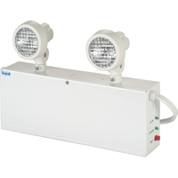 Lampes de secours Nova, Acier, Incandescente, 120 V - 347 V Advanced Consulting and Training Ltd.
