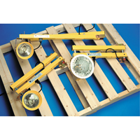 Lampes pour les quais, Bras 60", Ampoule Incandescente, M&eacute;tal Advanced Consulting and Training Ltd.