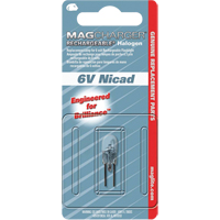 Ampoule de rechange pour lampe de poche rechargeable Advanced Consulting and Training Ltd.