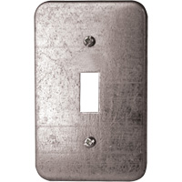Toggle Switch Wall Plate Advanced Consulting and Training Ltd.
