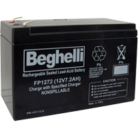 Sealed Lead Acid Batteries, 12 V, 7.2 Ah Advanced Consulting and Training Ltd.
