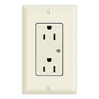 Prise Protectrice De Surtension 125 V - Qualit&eacute; Industrielle, Double 15 A Advanced Consulting and Training Ltd.