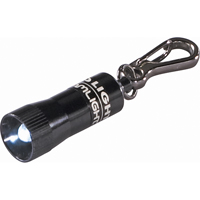 Lampes de poche Nano Light Advanced Consulting and Training Ltd.