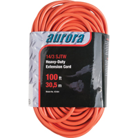 Cordon rallonge en vinyle, Ext&eacute;rieur, SJTW, AWG 14/3, 13 A, 100' Advanced Consulting and Training Ltd.