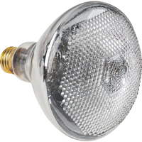 Economy Line Incandescent Lamps Advanced Consulting and Training Ltd.