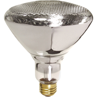 Economy Line Incandescent Lamps Advanced Consulting and Training Ltd.