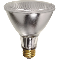 Gammes de lampes &eacute;conomiques Advanced Consulting and Training Ltd.
