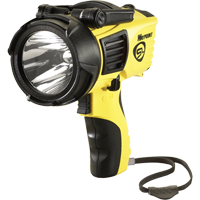 Projecteurs style pistolet Waypoint, DEL, 550 Lumens, Piles C Advanced Consulting and Training Ltd.