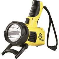 Projecteurs style pistolet Waypoint, DEL, 550 Lumens, Piles C Advanced Consulting and Training Ltd.