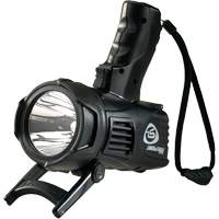 Projecteurs style pistolet Waypoint, DEL, 550 Lumens, Piles C Advanced Consulting and Training Ltd.