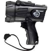 Projecteurs style pistolet Waypoint, DEL, 550 Lumens, Piles C Advanced Consulting and Training Ltd.