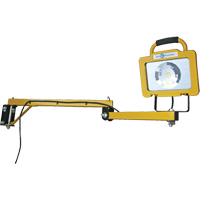 Lampe robuste pour quais, Bras 40", 38 W, Ampoule DEL, M&eacute;tal Advanced Consulting and Training Ltd.