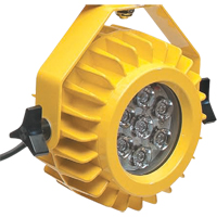 Lampe robuste DEL pour les quais - t&ecirc;te seulement Advanced Consulting and Training Ltd.