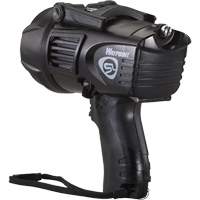 Projecteur style pistolet Waypoint, DEL, 550 Lumens, Piles C Advanced Consulting and Training Ltd.
