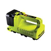Lanterne, DEL,  Lumens, Piles C Advanced Consulting and Training Ltd.