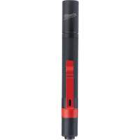 Penlight, LED, 100 Lumens, Aluminum Body, AAA Batteries, Included Advanced Consulting and Training Ltd.
