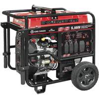 V-Twin Gasoline Generator, 15000 W Surge, 12500 W Rated, 120 V/240 V, 40 L Tank Advanced Consulting and Training Ltd.
