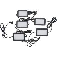 Chaîne de baladeuses DEL, 5 Lumi&egrave;res, 50' lo, Boîtier en Plastique Advanced Consulting and Training Ltd.