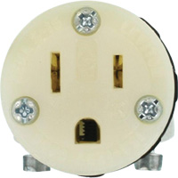 Connecteur de prise de rallonge de qualit&eacute; hospitali&egrave;re, 5-15R, Nylon Advanced Consulting and Training Ltd.