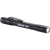 Penlight, LED, 139 Lumens, Plastic Body, AAA Batteries, Included Advanced Consulting and Training Ltd.