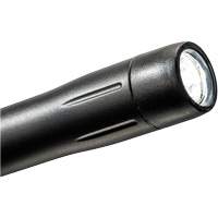 Penlight, LED, 139 Lumens, Plastic Body, AAA Batteries, Included Advanced Consulting and Training Ltd.