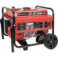 Electric Start Gas Generator with Wheel Kit, 6500 W Surge, 5000 W Rated, 120 V/240 V, 20 L Tank Advanced Consulting and Training Ltd.