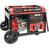 Electric Start Gas Generator with Wheel Kit, 12000 W Surge, 9000 W Rated, 120 V/240 V, 31 L Tank Advanced Consulting and Training Ltd.