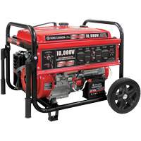 Gasoline Generator with Electric Start, 10000 W Surge, 7500 W Rated, 120 V/240 V, 25 L Tank Advanced Consulting and Training Ltd.