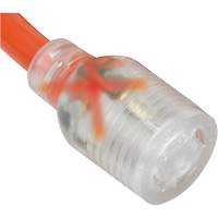 Generator Adaptor Cord Advanced Consulting and Training Ltd.