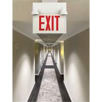 Enseigne de sortie avec &eacute;clairage de s&eacute;curit&eacute;, DEL, &agrave; piles/&agrave; raccordement fixe, 12-1/10" lo x 11" la, Anglais Advanced Consulting and Training Ltd.