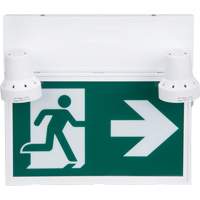 Enseigne d'homme qui court avec &eacute;clairage de s&eacute;curit&eacute;, DEL, &agrave; piles/&agrave; raccordement fixe, 12-1/10" lo x 11" la, Pictogramme Advanced Consulting and Training Ltd.