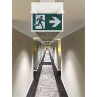 Enseigne d'homme qui court avec &eacute;clairage de s&eacute;curit&eacute;, DEL, &agrave; piles/&agrave; raccordement fixe, 12-1/10" lo x 11" la, Pictogramme Advanced Consulting and Training Ltd.