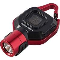 Lampe de poche USB Pocket Mate Advanced Consulting and Training Ltd.