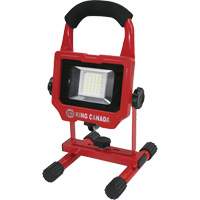 Baladeuse, DEL, 15 W, 1500 lumens, Boîtier en Aluminium Advanced Consulting and Training Ltd.
