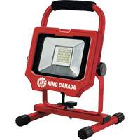Baladeuse, DEL, 20 W, 3000 lumens, Boîtier en Aluminium Advanced Consulting and Training Ltd.