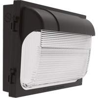 TWX Wall Luminaire, LED, 480 V, 9 W - 54 W, 14" H x 18" W x 5" D Advanced Consulting and Training Ltd.