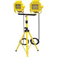 Diffuseur anti-d&eacute;flagration avec tr&eacute;pied, DEL, 40 W, 5600 lumens, Boîtier en Aluminium Advanced Consulting and Training Ltd.