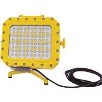 Diffuseur anti-d&eacute;flagration avec support pour plancher, DEL, 40 W, 5600 lumens, Boîtier en Aluminium Advanced Consulting and Training Ltd.