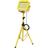 Diffuseur anti-d&eacute;flagration avec tr&eacute;pied, DEL, 40 W, 5600 lumens, Boîtier en Aluminium Advanced Consulting and Training Ltd.