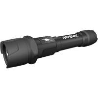 Lampe de poche pratiquement indestructible, DEL, 350 lumens, Piles AA Advanced Consulting and Training Ltd.
