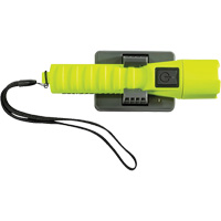 Lampe de poche 3335R, DEL, 246 lumens, Piles Rechargeable Advanced Consulting and Training Ltd.