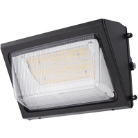Wall Pack Light Fixture, LED, 120 -347 V, 80 W Advanced Consulting and Training Ltd.