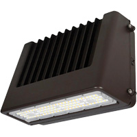 Wall Pack Light Fixture, LED, 120 V, 80 W, 6.5" H x 9.3" W x 14.4" D Advanced Consulting and Training Ltd.