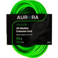 Cordon rallonge de calibre industriel, Toutes saisons, SJTW, AWG 10/3, 15 A, 50' Advanced Consulting and Training Ltd.