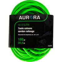 Cordon rallonge de calibre industriel, Toutes saisons, SJTW, AWG 10/3, 15 A, 100' Advanced Consulting and Training Ltd.